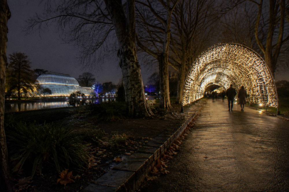 Glowing light tunnel arching over a dark garden path lined with trees