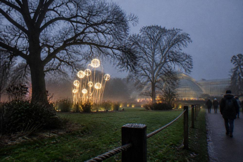 Festive light installation glowing among bare winter trees in a large garden