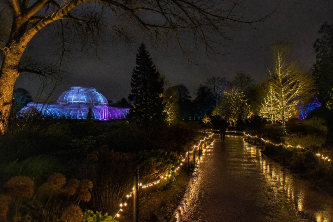 Illuminated light trail winding through dark winter gardens with glowing trees
