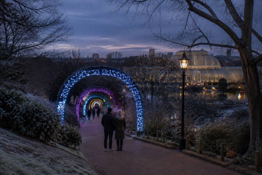 A illuminated winter trail winding between dark trees with coloured light arches overhead