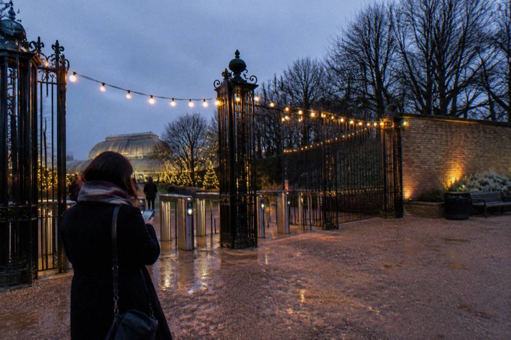 A garden gate entrance glowing with warm festive lighting at dusk