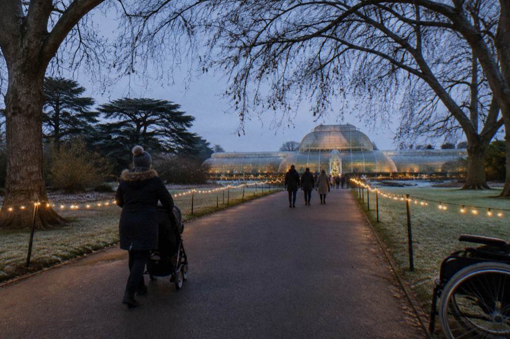 A wide flat garden path lit by festoon lights stretching into the distance
