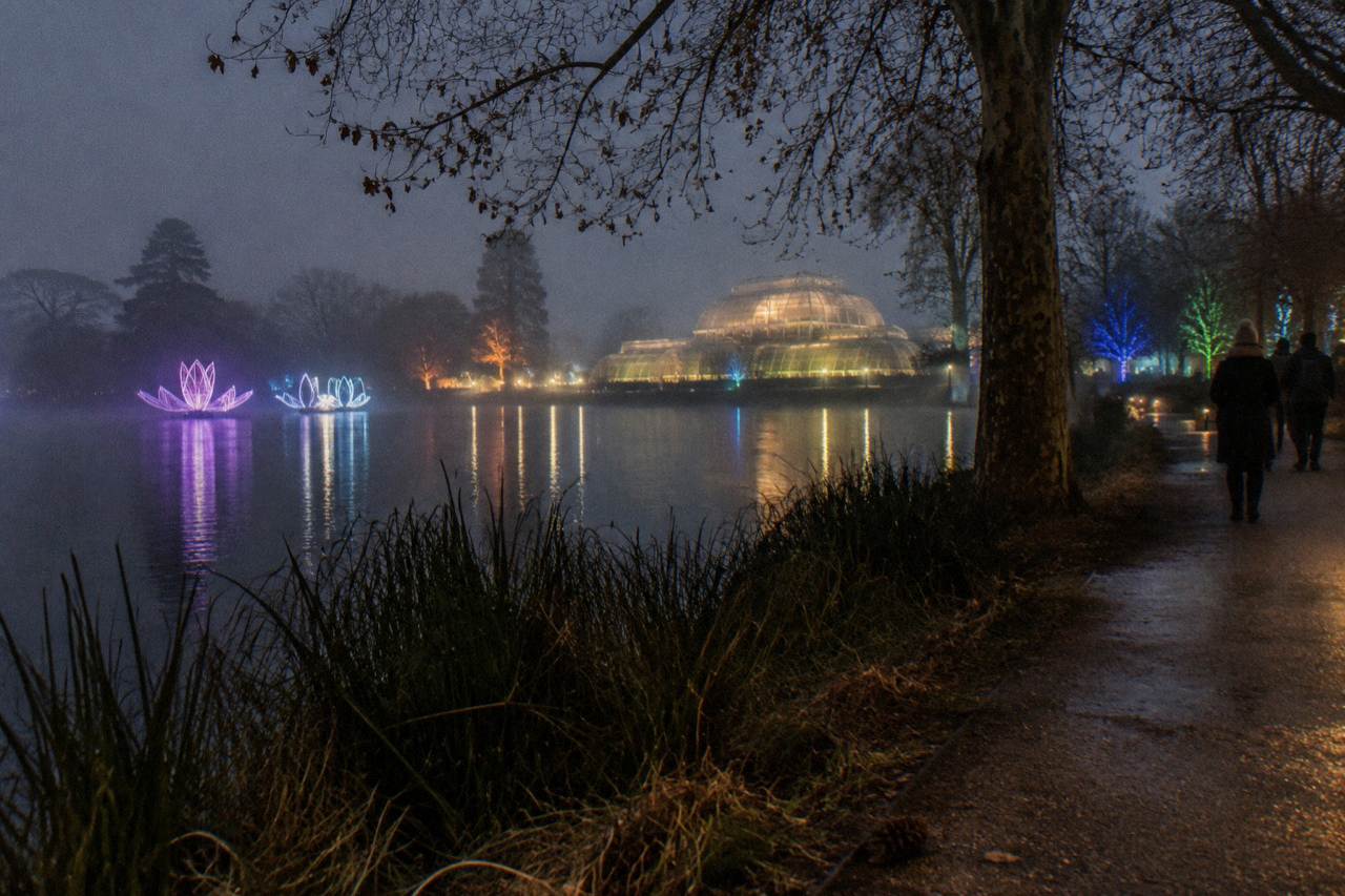 Festive light installations glowing along a tree-lined garden path after dark