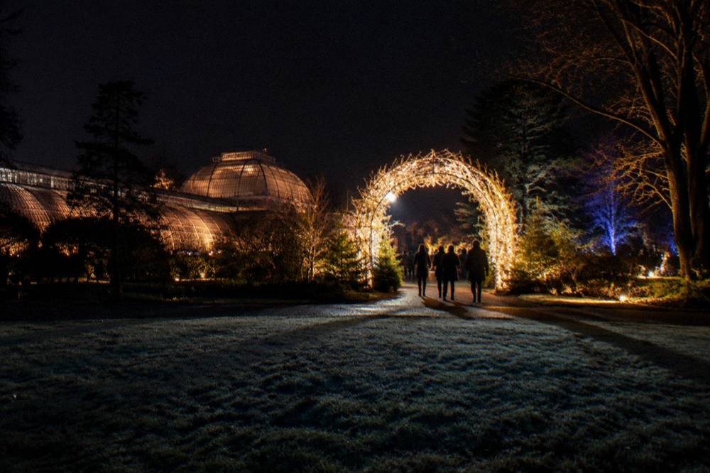 Colourful illuminated archway over a dark garden pathway with visitors walking through
