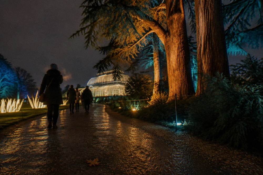 Glowing light installations along a tree-lined garden path at night