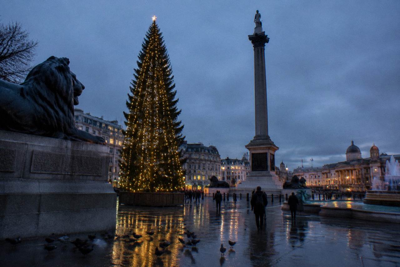 Festively lit London street with decorated shopfronts and a Christmas tree at dusk