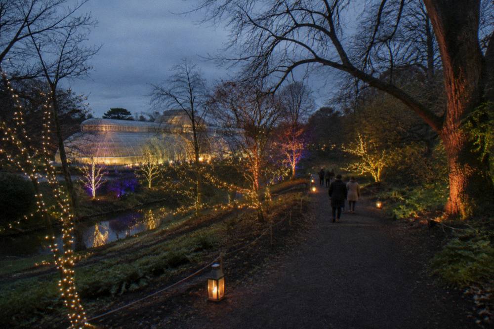 Illuminated light trail winding through dark gardens past lit trees