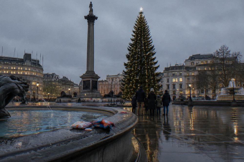 Family looking at a lit Christmas tree in a public square after dark