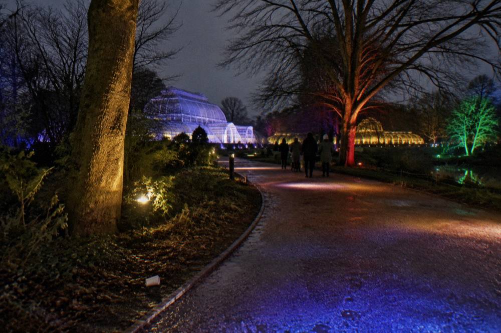 A lit pathway winding through trees in a garden after dark