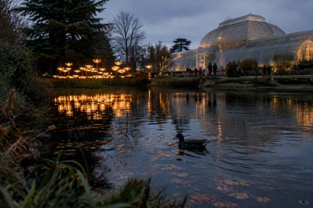 Warm glowing light installation reflected in a garden pond at night