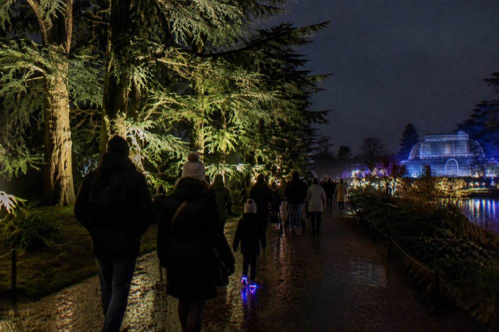 Crowd of visitors walking a lit garden path beside tall illuminated trees