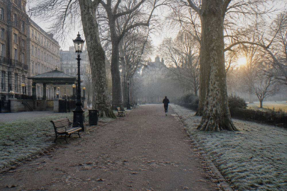 Empty tree-lined park path in central London on a still winter morning