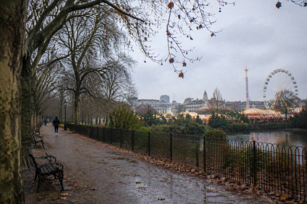 An open park path with bare winter trees and city buildings behind