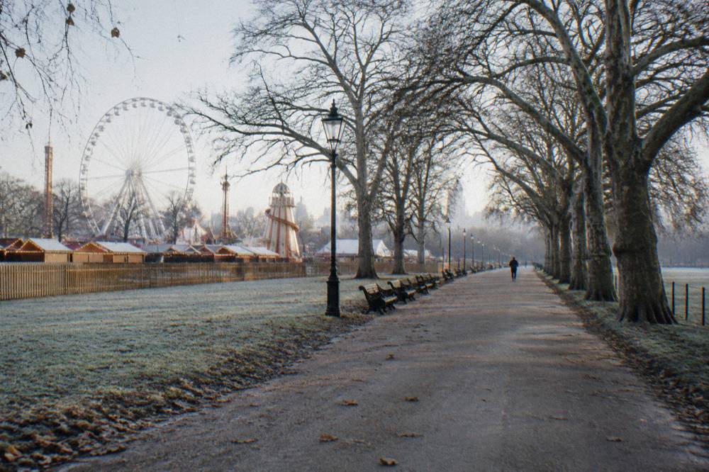 An empty park path in winter with bare trees and a city skyline in the distance