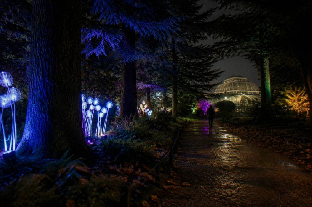 Garden path at night lined with colourful light installations and lit trees